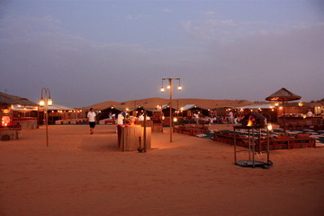 Dubai Evening Desert Safari with BBQ Dinner